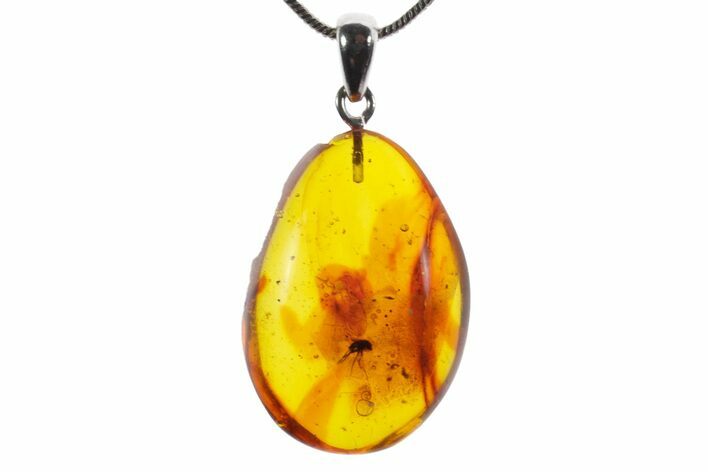 Polished Baltic Amber Pendant (Necklace) - Contains Fly! #352987
